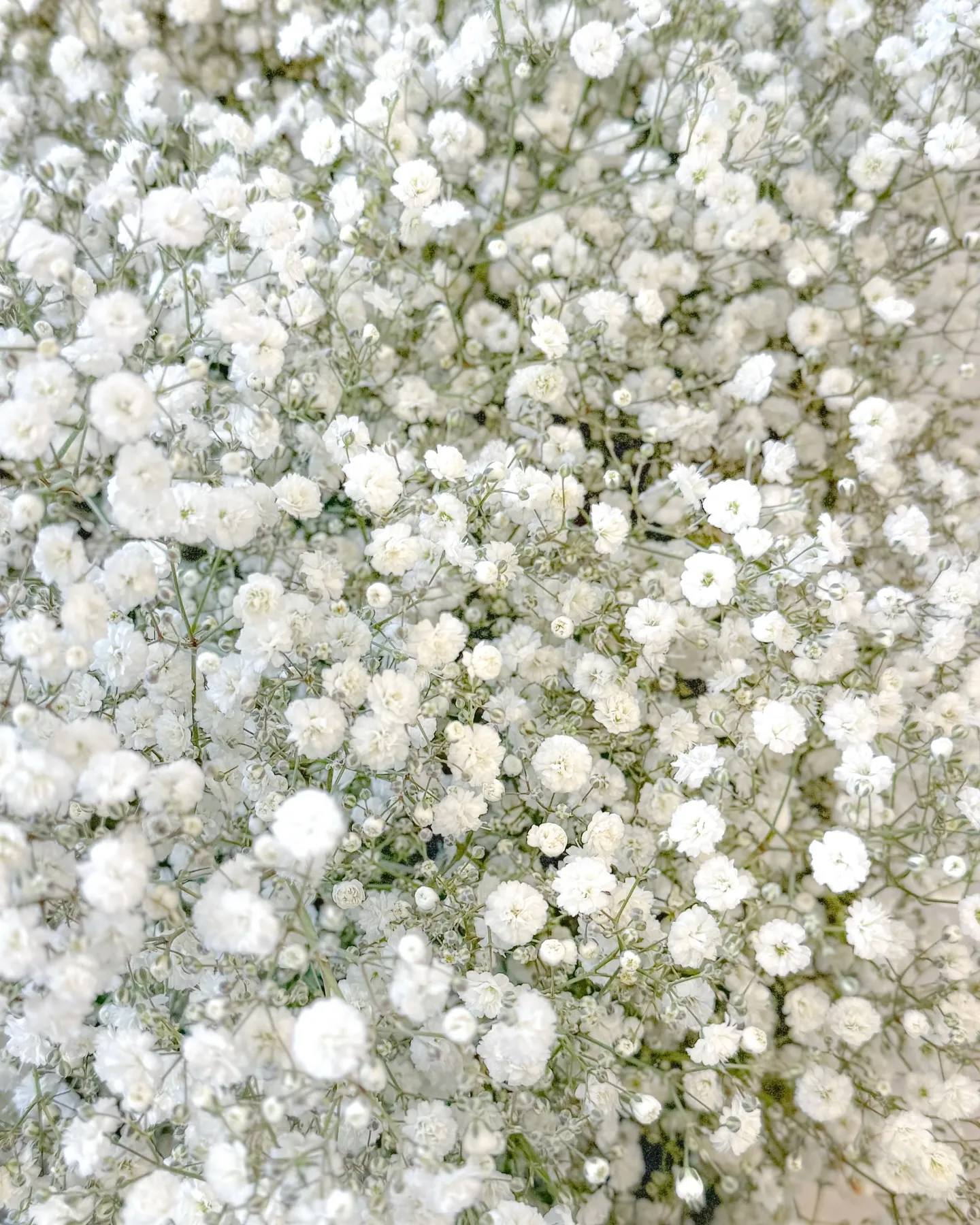 こんにちは☀️